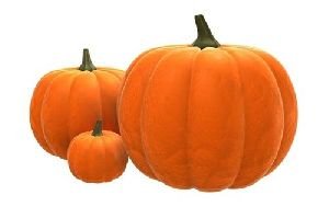 fresh-pumpkin p.jpeg